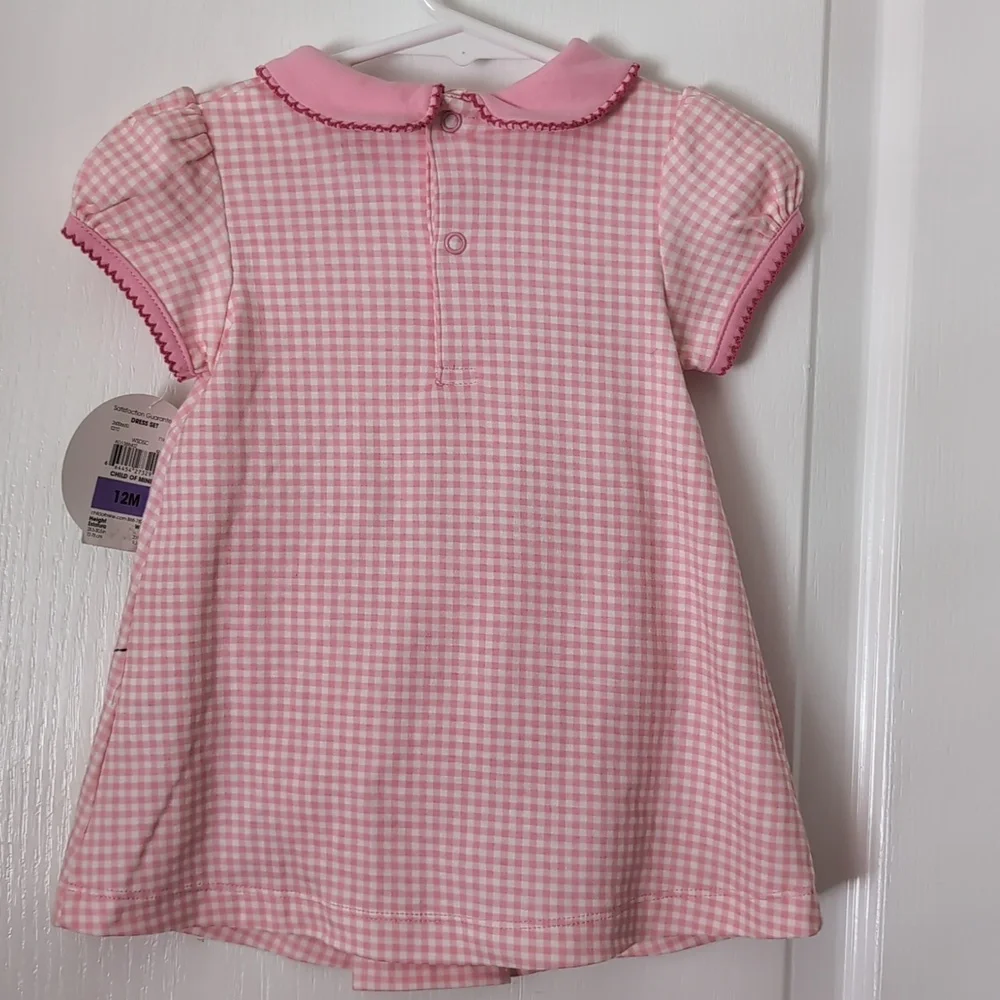 Carter's Pink/White Check 2 Pc  Dress Set. Size 12 mos. Embroidered. Butterfly